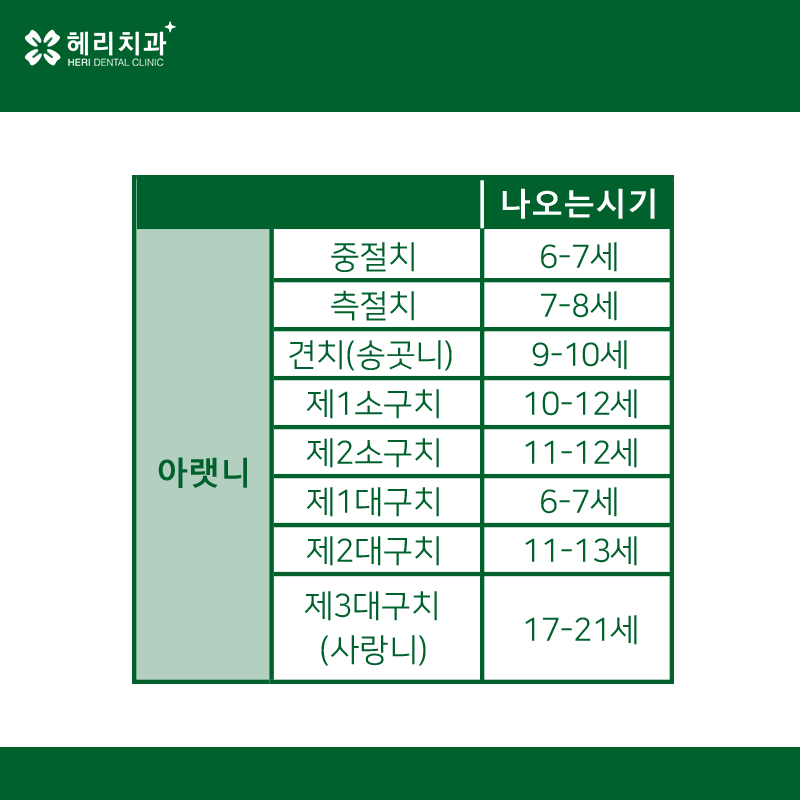 강남역치과, 강남치과, 유치 | 강남헤리치과의원